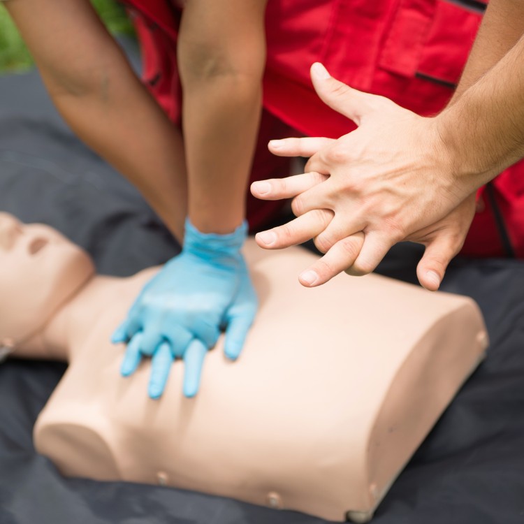 Arborist service in Atlanta, GA