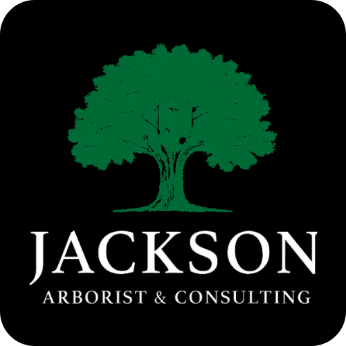 Company Name Company Name