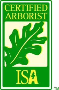 arborist