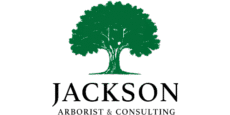 Jackson Arborist & Consulting